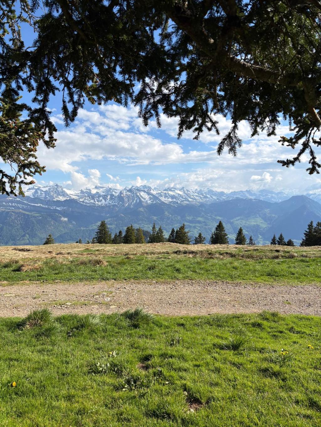 Ontdekken en genieten: Het leven in&nbsp;Zwitserland